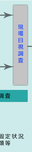 現場目視調査